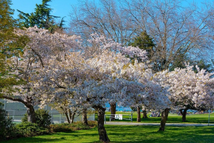 Photo 38 at 308 - 1858 W 5th Avenue, Kitsilano, Vancouver West